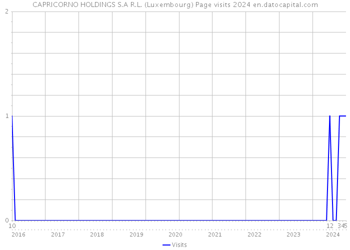 CAPRICORNO HOLDINGS S.A R.L. (Luxembourg) Page visits 2024 