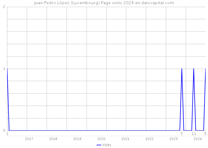 Juan Pedro López (Luxembourg) Page visits 2024 