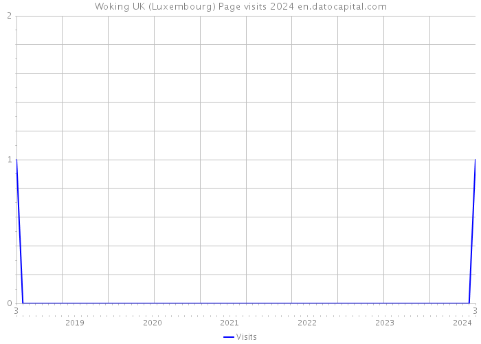 Woking UK (Luxembourg) Page visits 2024 