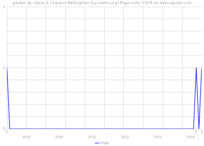 gérant de classe A Graydon Bellinghan (Luxembourg) Page visits 2024 