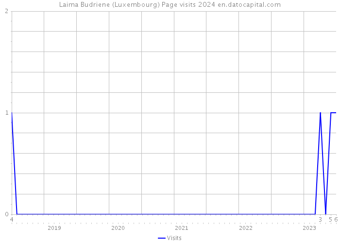 Laima Budriene (Luxembourg) Page visits 2024 
