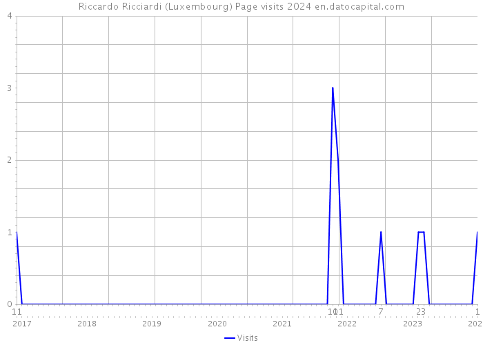 Riccardo Ricciardi (Luxembourg) Page visits 2024 