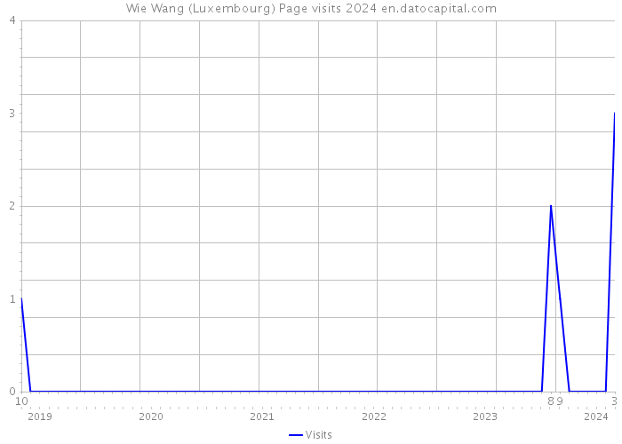 Wie Wang (Luxembourg) Page visits 2024 