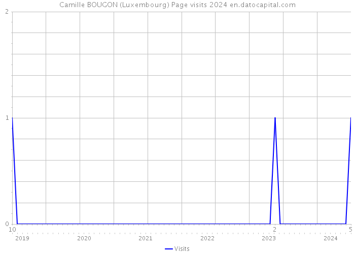 Camille BOUGON (Luxembourg) Page visits 2024 