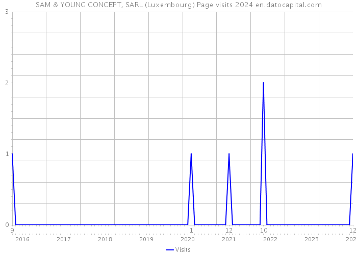 SAM & YOUNG CONCEPT, SARL (Luxembourg) Page visits 2024 