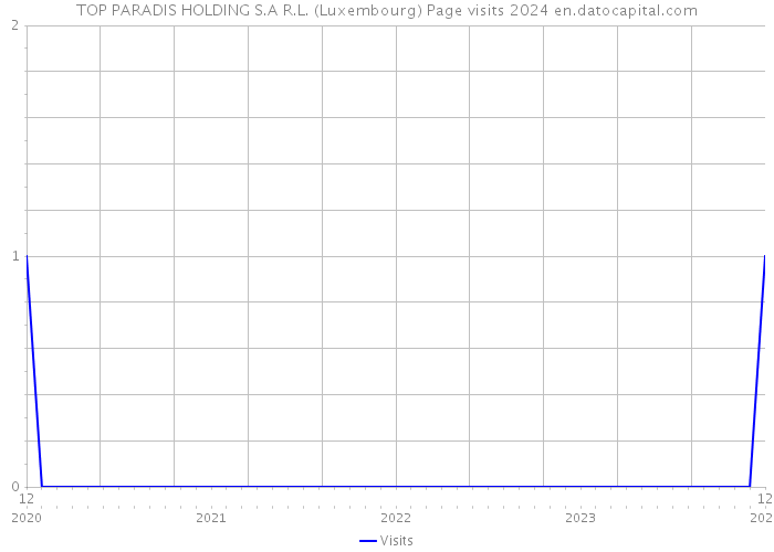TOP PARADIS HOLDING S.A R.L. (Luxembourg) Page visits 2024 