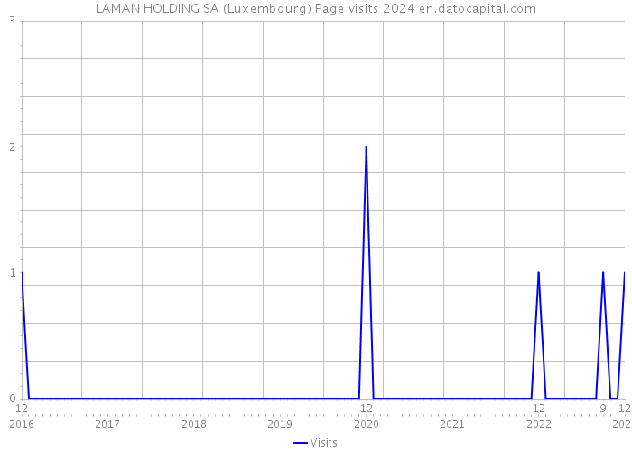 LAMAN HOLDING SA (Luxembourg) Page visits 2024 