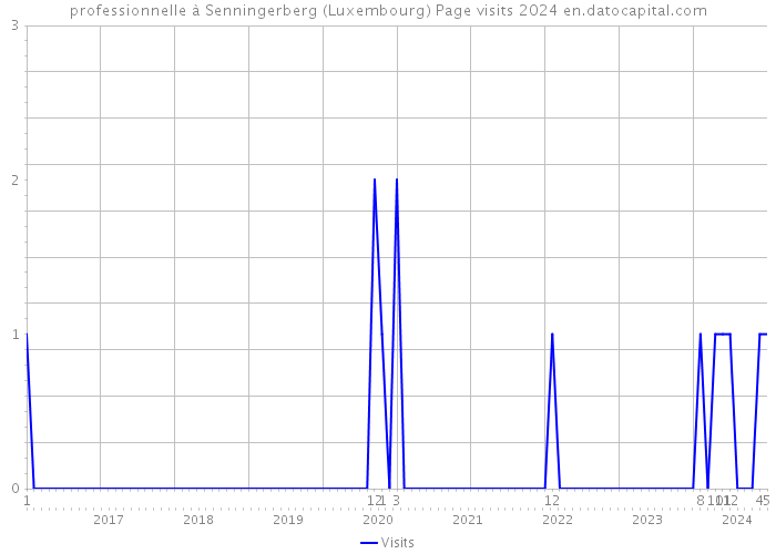 professionnelle à Senningerberg (Luxembourg) Page visits 2024 