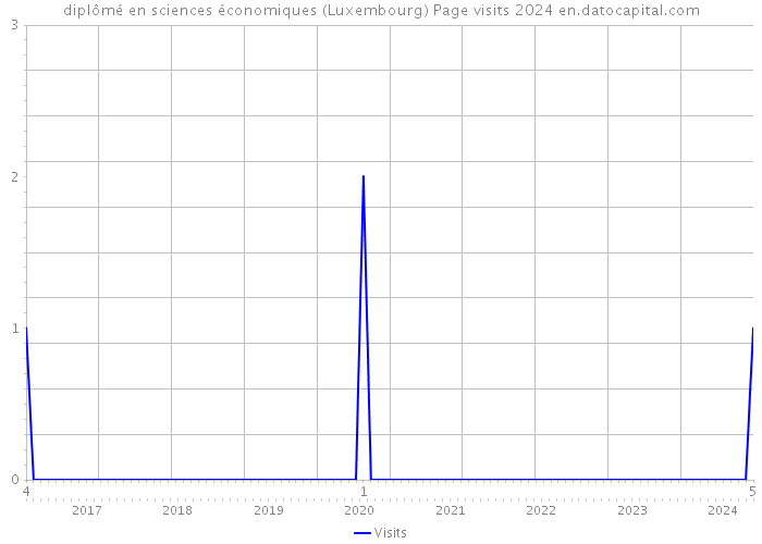 diplômé en sciences économiques (Luxembourg) Page visits 2024 