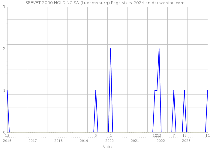 BREVET 2000 HOLDING SA (Luxembourg) Page visits 2024 