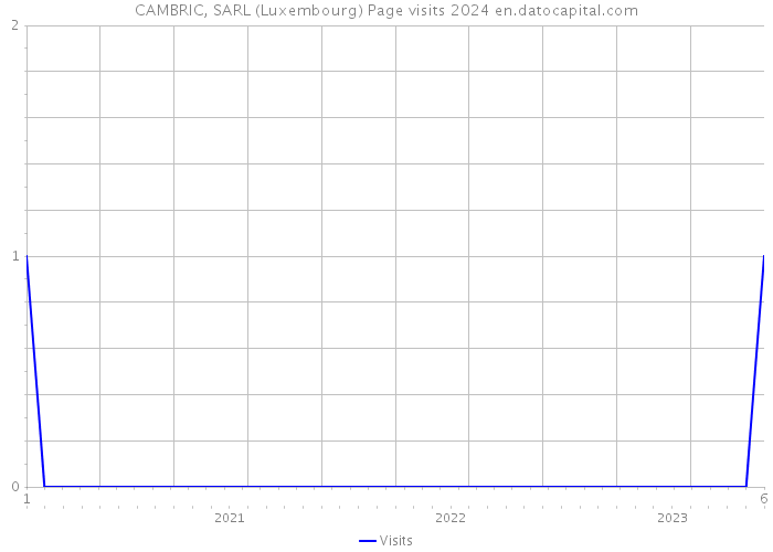 CAMBRIC, SARL (Luxembourg) Page visits 2024 