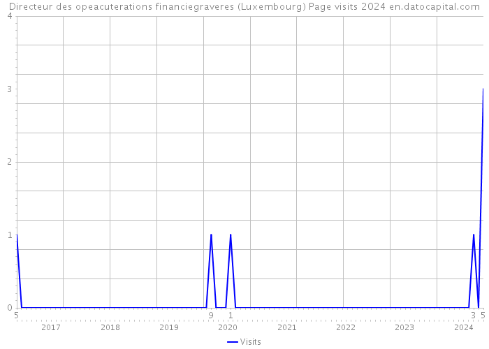 Directeur des opeacuterations financiegraveres (Luxembourg) Page visits 2024 