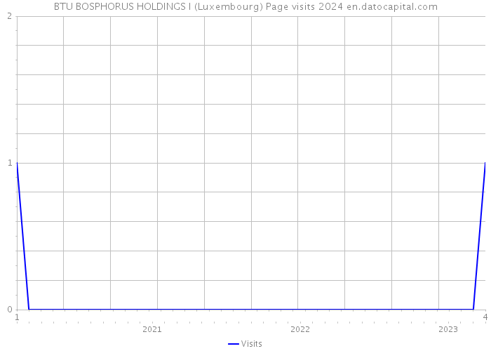 BTU BOSPHORUS HOLDINGS I (Luxembourg) Page visits 2024 