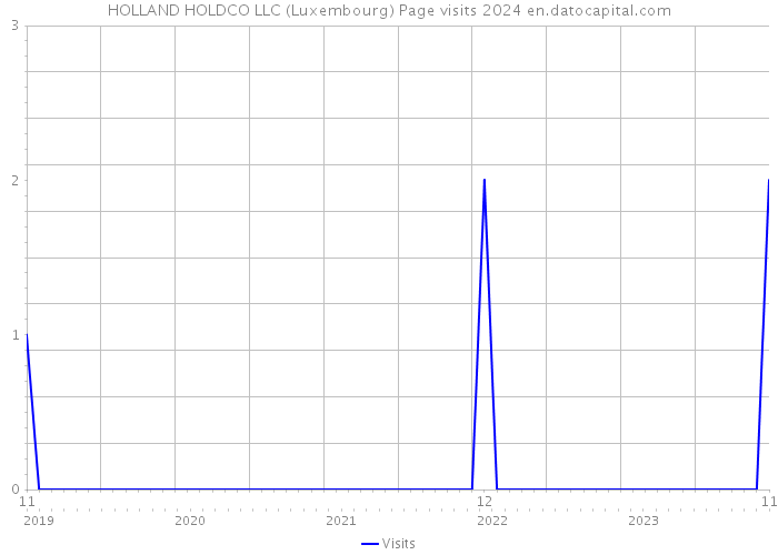 HOLLAND HOLDCO LLC (Luxembourg) Page visits 2024 