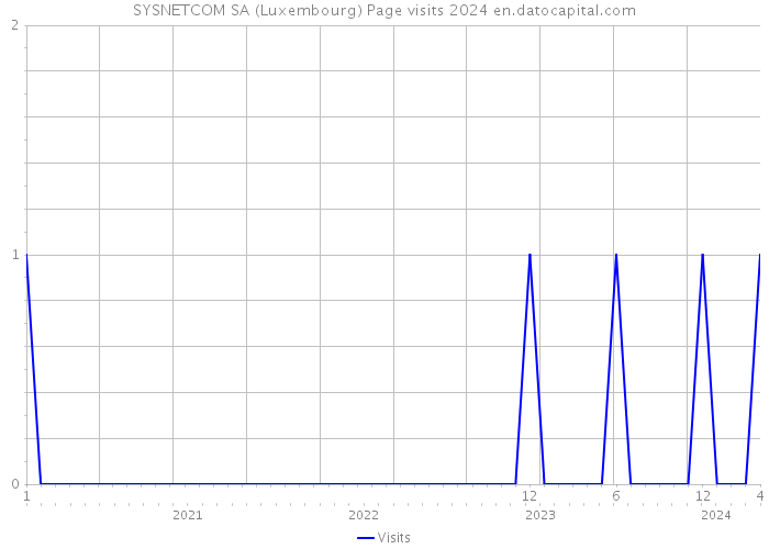 SYSNETCOM SA (Luxembourg) Page visits 2024 