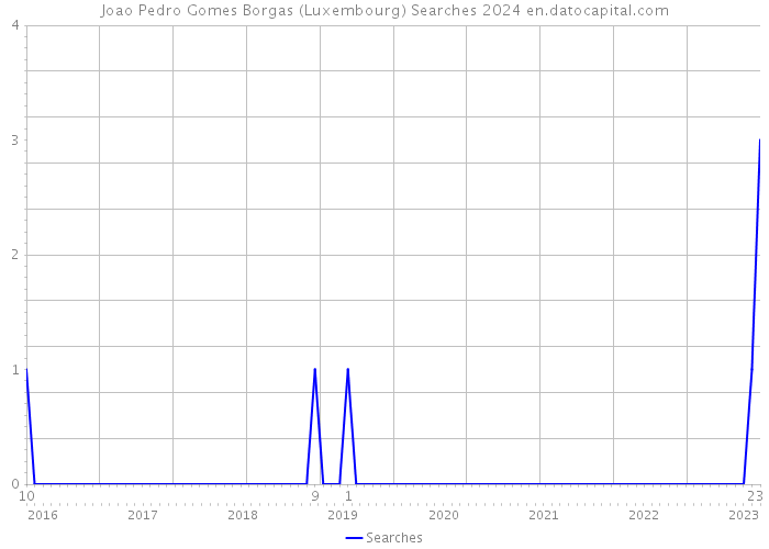 Joao Pedro Gomes Borgas (Luxembourg) Searches 2024 