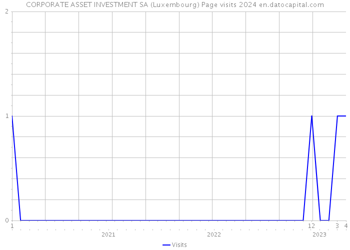 CORPORATE ASSET INVESTMENT SA (Luxembourg) Page visits 2024 