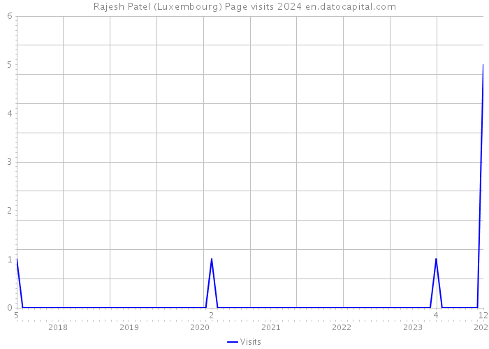 Rajesh Patel (Luxembourg) Page visits 2024 