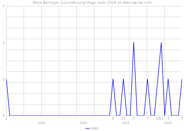 Steve Berlinger (Luxembourg) Page visits 2024 