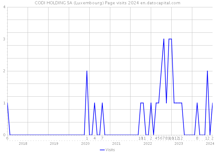 CODI HOLDING SA (Luxembourg) Page visits 2024 
