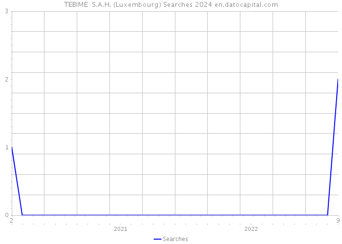 TEBIME S.A.H. (Luxembourg) Searches 2024 