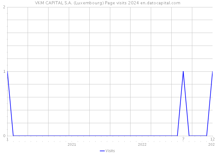 VKM CAPITAL S.A. (Luxembourg) Page visits 2024 