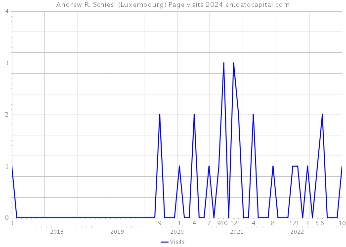 Andrew R. Schiesl (Luxembourg) Page visits 2024 
