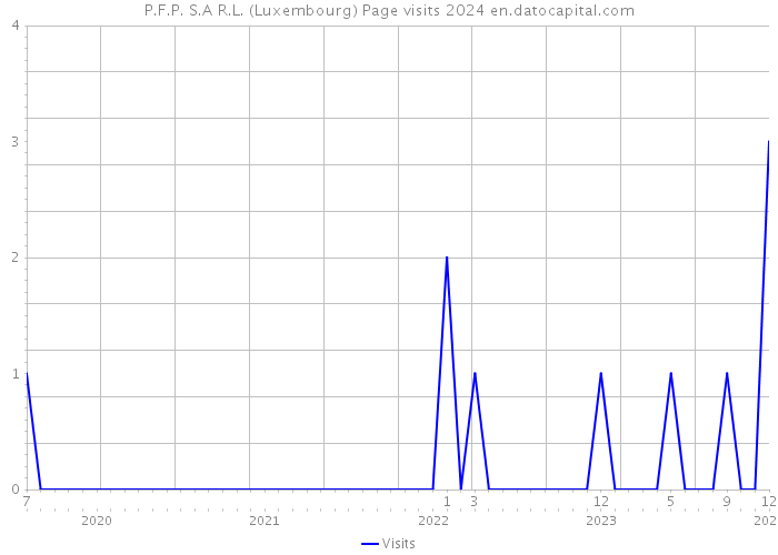 P.F.P. S.A R.L. (Luxembourg) Page visits 2024 