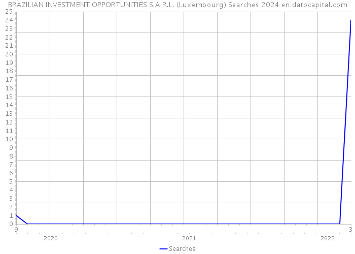 BRAZILIAN INVESTMENT OPPORTUNITIES S.A R.L. (Luxembourg) Searches 2024 