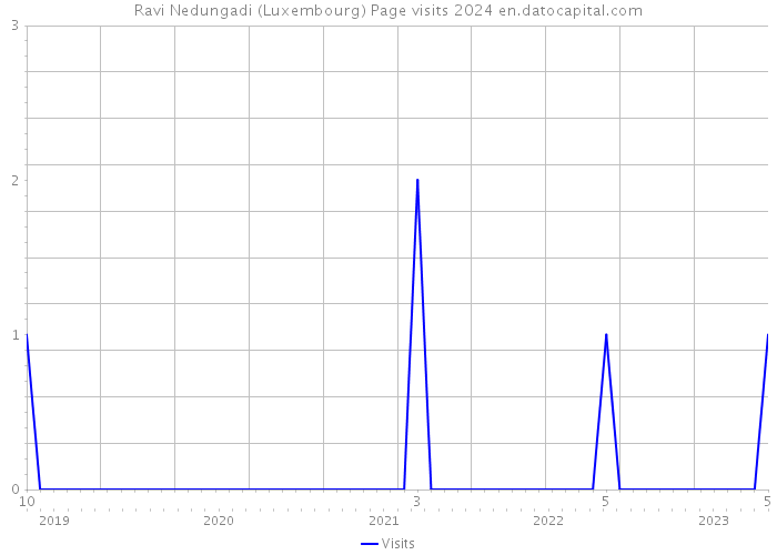 Ravi Nedungadi (Luxembourg) Page visits 2024 