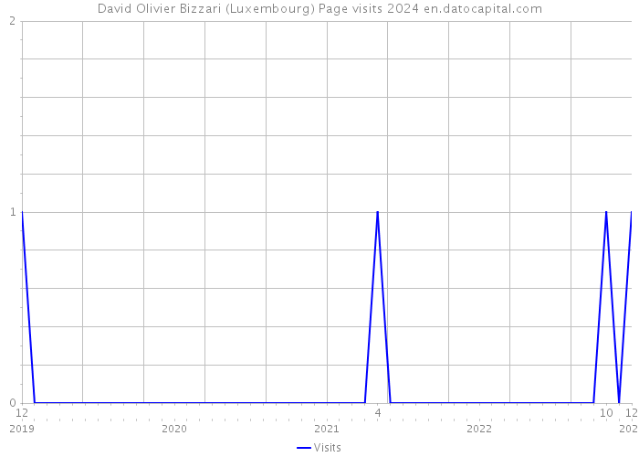 David Olivier Bizzari (Luxembourg) Page visits 2024 