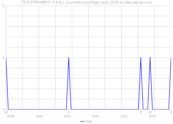 TS 5CP PROPERTY S.A R.L. (Luxembourg) Page visits 2024 