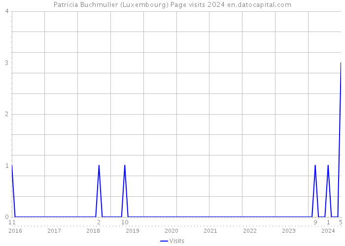 Patricia Buchmuller (Luxembourg) Page visits 2024 