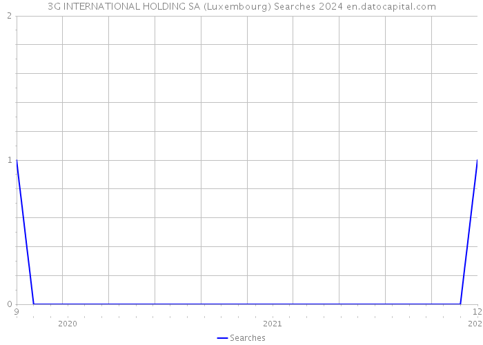 3G INTERNATIONAL HOLDING SA (Luxembourg) Searches 2024 