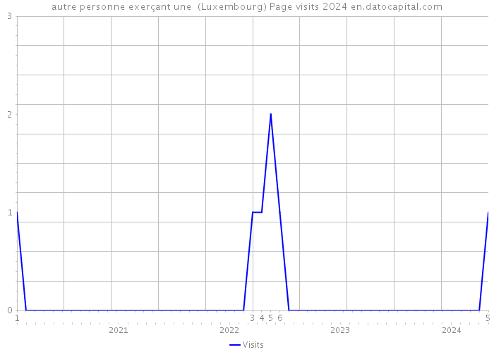autre personne exerçant une (Luxembourg) Page visits 2024 
