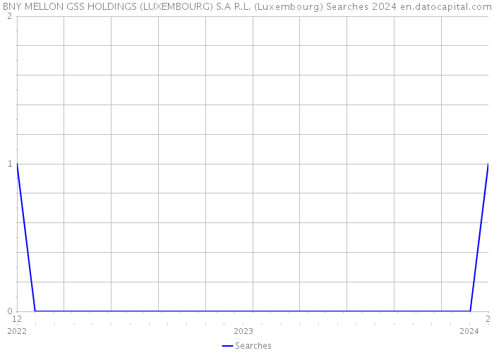 BNY MELLON GSS HOLDINGS (LUXEMBOURG) S.A R.L. (Luxembourg) Searches 2024 