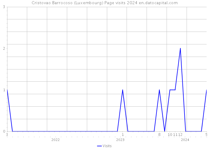 Cristovao Barrocoso (Luxembourg) Page visits 2024 