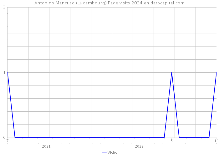 Antonino Mancuso (Luxembourg) Page visits 2024 