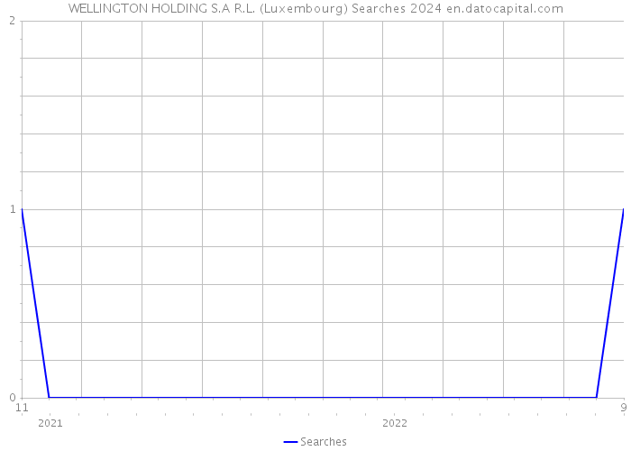 WELLINGTON HOLDING S.A R.L. (Luxembourg) Searches 2024 