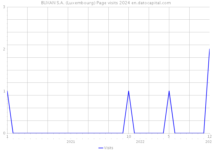 BUXAN S.A. (Luxembourg) Page visits 2024 