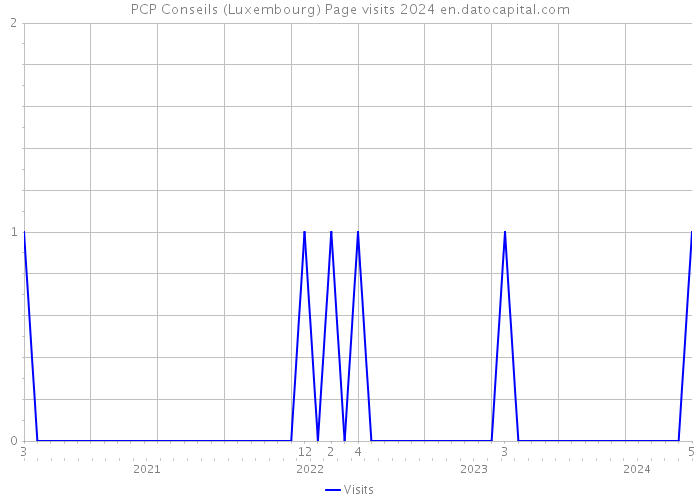 PCP Conseils (Luxembourg) Page visits 2024 