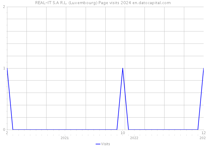 REAL-IT S.A R.L. (Luxembourg) Page visits 2024 