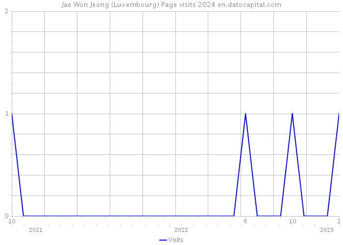 Jae Won Jeong (Luxembourg) Page visits 2024 