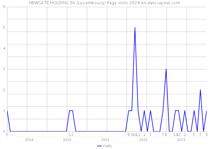 NEWGATE HOLDING SA (Luxembourg) Page visits 2024 