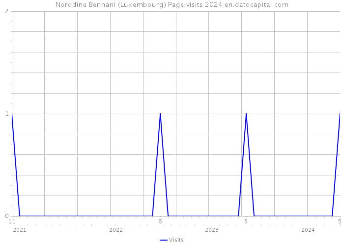 Norddine Bennani (Luxembourg) Page visits 2024 