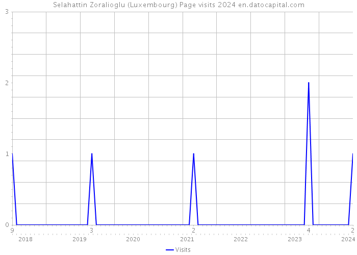 Selahattin Zoralioglu (Luxembourg) Page visits 2024 