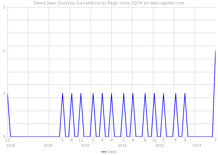 David Jean Gruszka (Luxembourg) Page visits 2024 