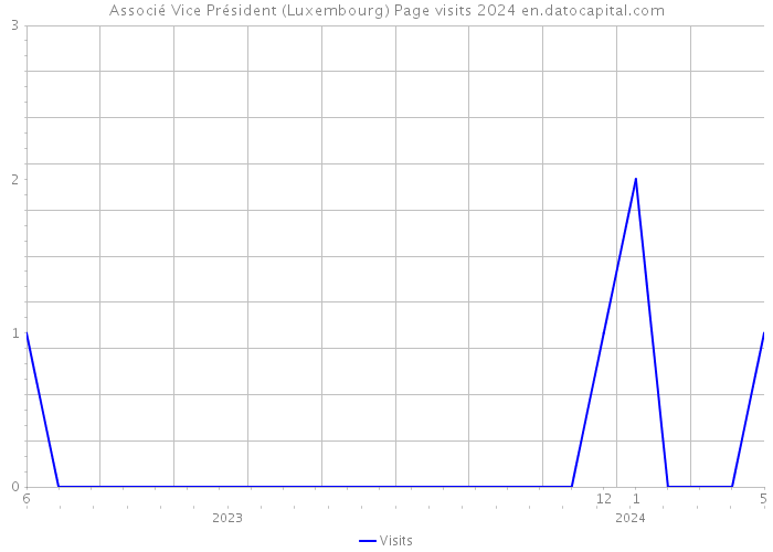 Associé Vice Président (Luxembourg) Page visits 2024 