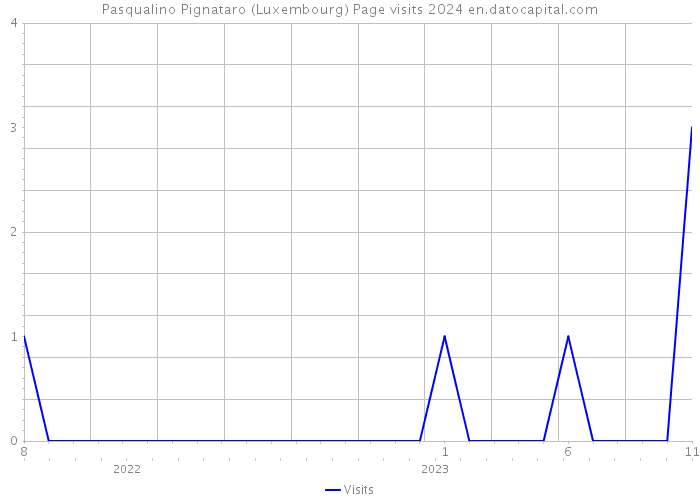 Pasqualino Pignataro (Luxembourg) Page visits 2024 