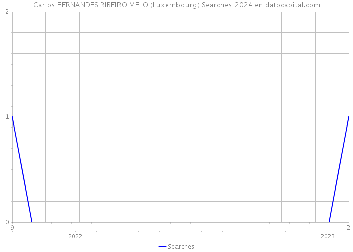 Carlos FERNANDES RIBEIRO MELO (Luxembourg) Searches 2024 